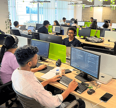 Web Developers